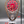 Load image into Gallery viewer, Dodge Big Block Timing Chain Clock, Powder Coated Metal Face, Rotating Gears