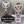 Load image into Gallery viewer, Pontiac Timing Chain Clock with Rotating Gears, Personalize Stand
